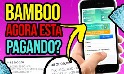 URGENTE! BAMBOO BRAZ VAI PAGAR TODO MUNDO? NOTA OFICIAL DA EMPRESA (CUIDADO) Ganhar Dinheiro Online